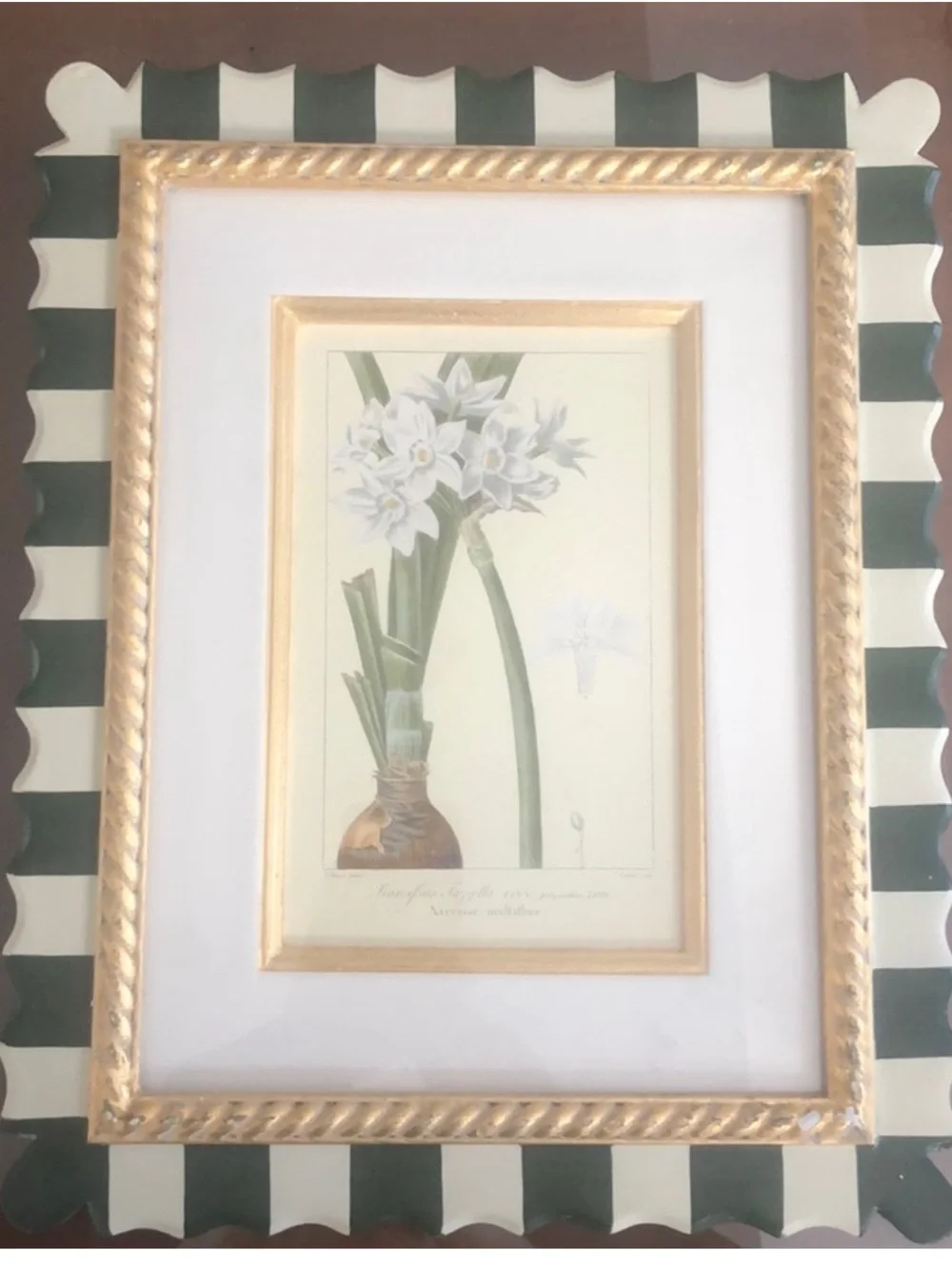 Set of 4 Trowbridge Botanicsl Prints Set of Four